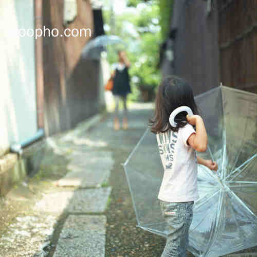 Beautiful Photo