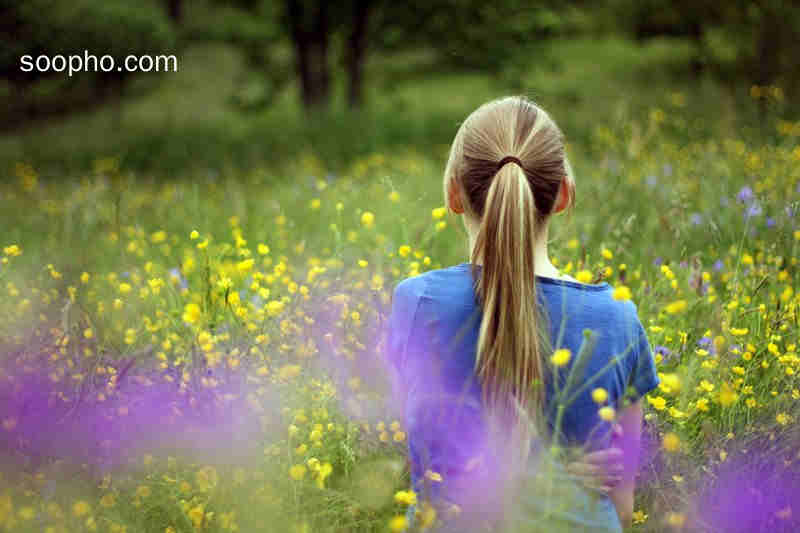 背影,黄花,田野,金发