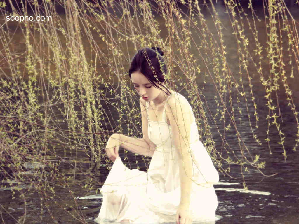 垂柳温柔油画女，白皙细腻