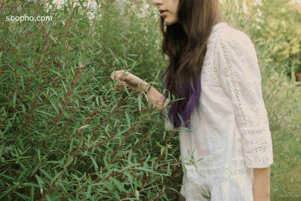 Beautiful Photo