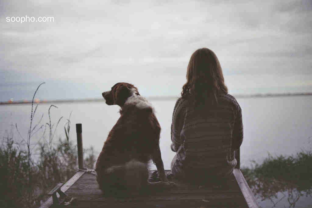 Beautiful Photo