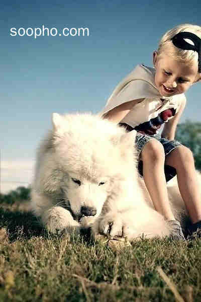 Beautiful Photo
