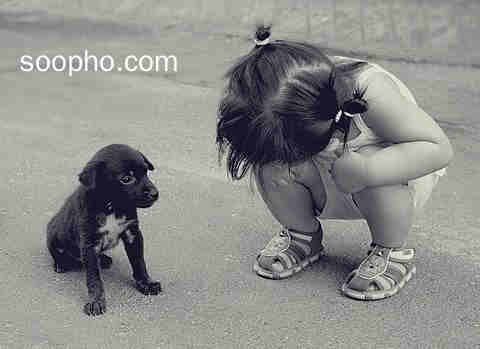 Beautiful Photo
