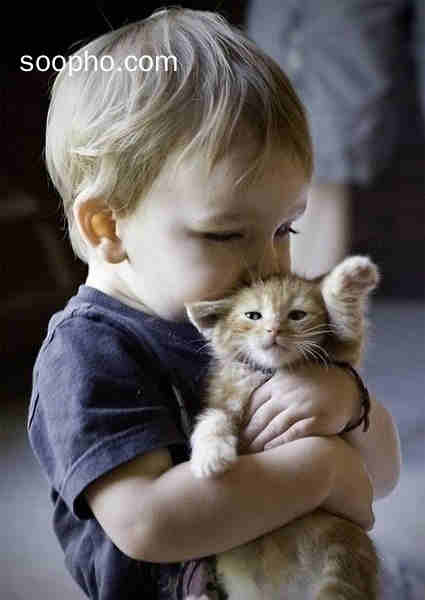 Beautiful Photo