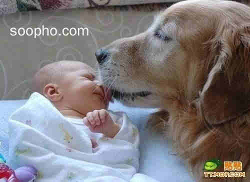 Beautiful Photo