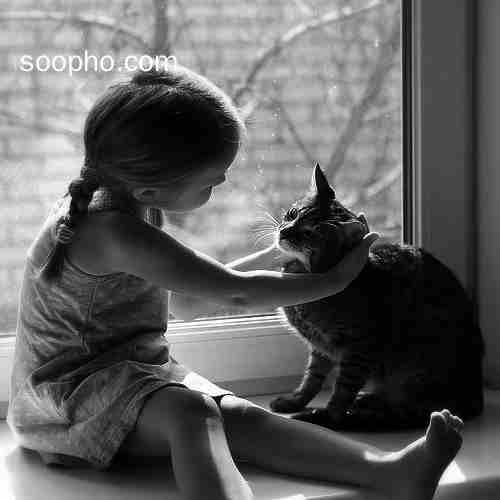 孩子,小动物,可爱,猫