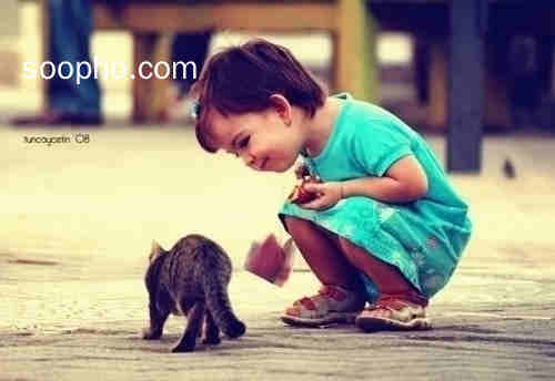 孩子,小动物,可爱,猫