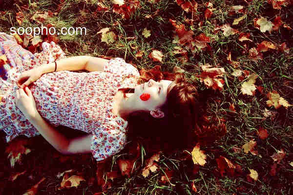 Beautiful Photo