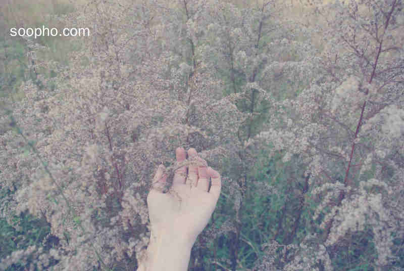 Beautiful Photo