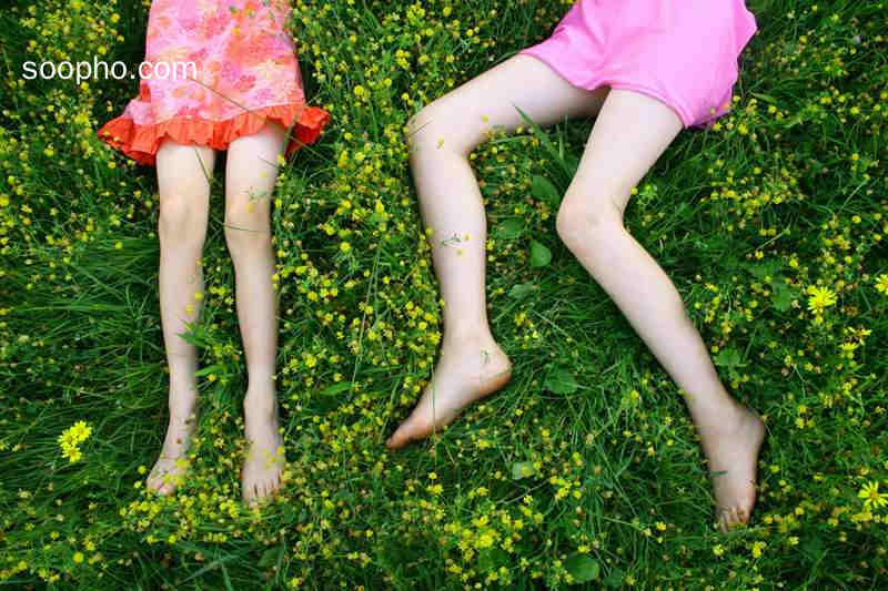 leg,white,Flower,草地