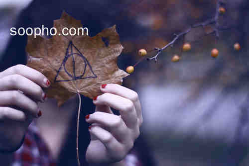 Beautiful Photo