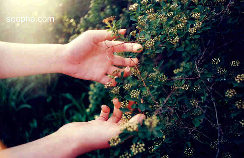 Beautiful hands