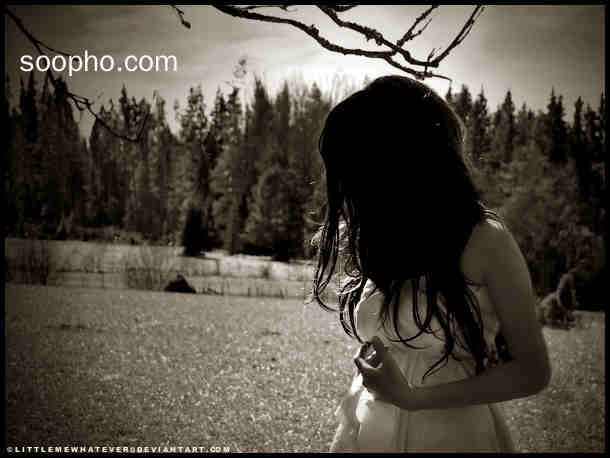 Beautiful Photo
