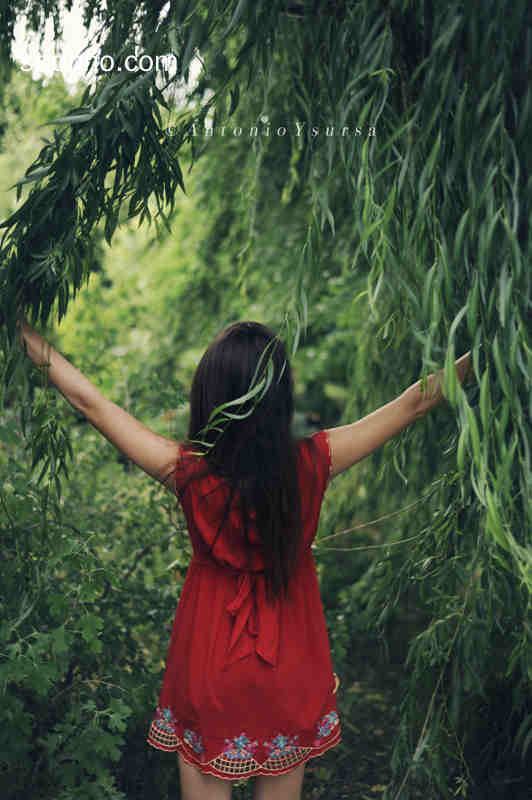 Beautiful Photo
