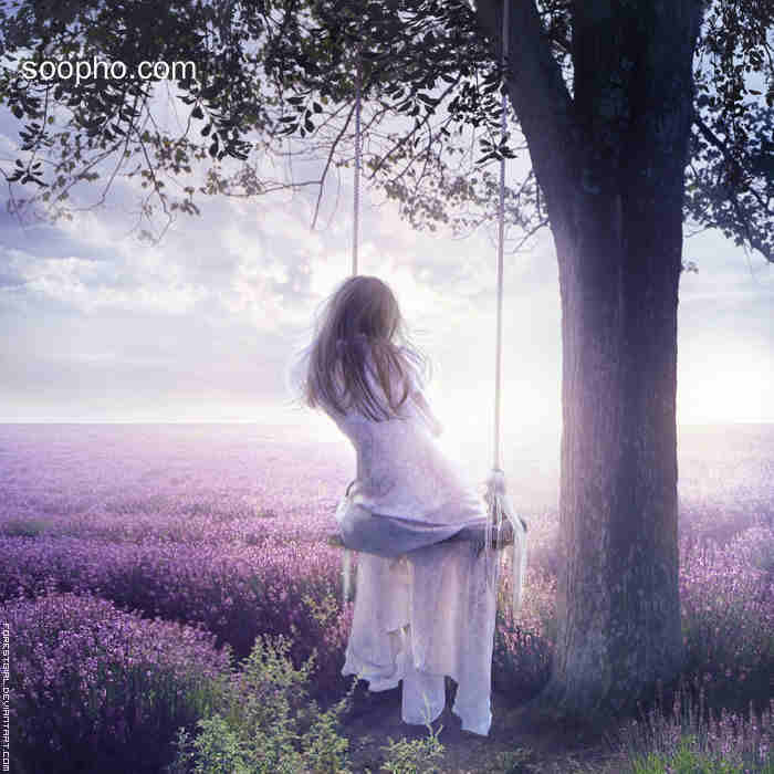Beautiful Photo