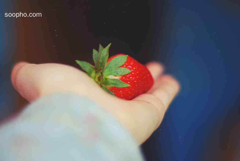 你是我掌心的草莓