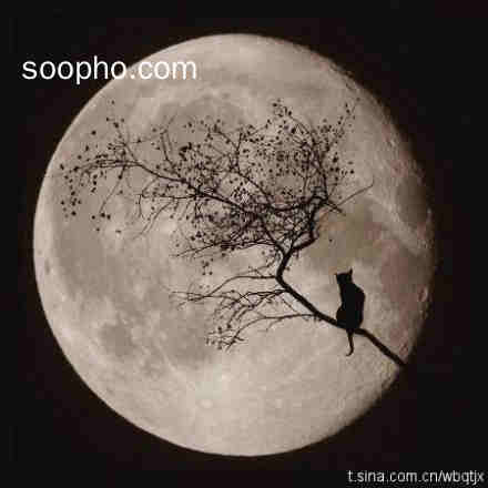 Beautiful Photo
