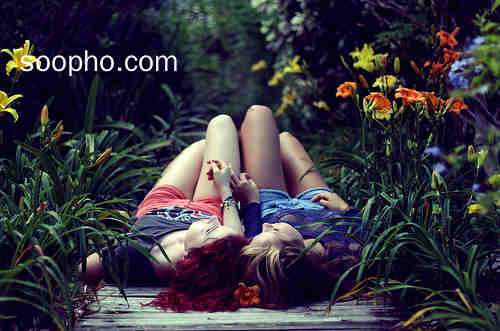 Beautiful Photo