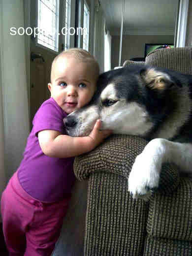 Beautiful Photo