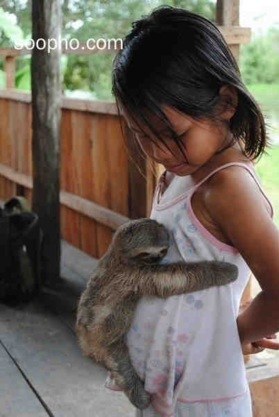 Beautiful Photo