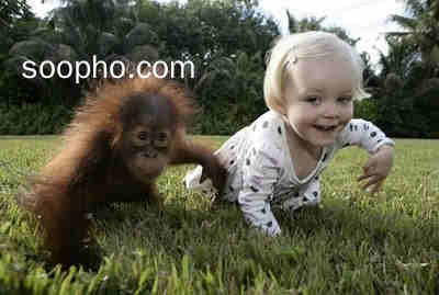 Beautiful Photo
