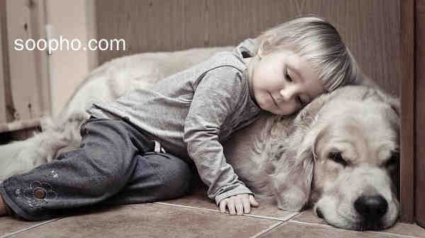 Beautiful Photo