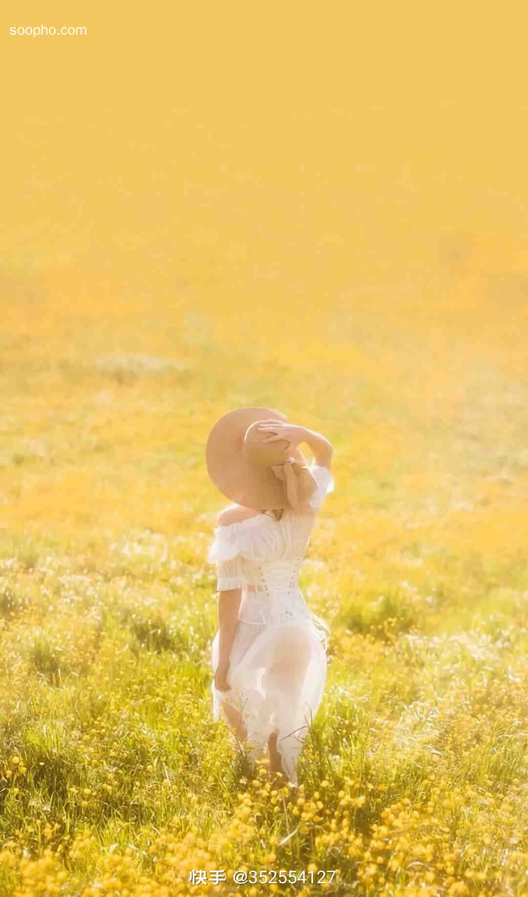 Beautiful Photo