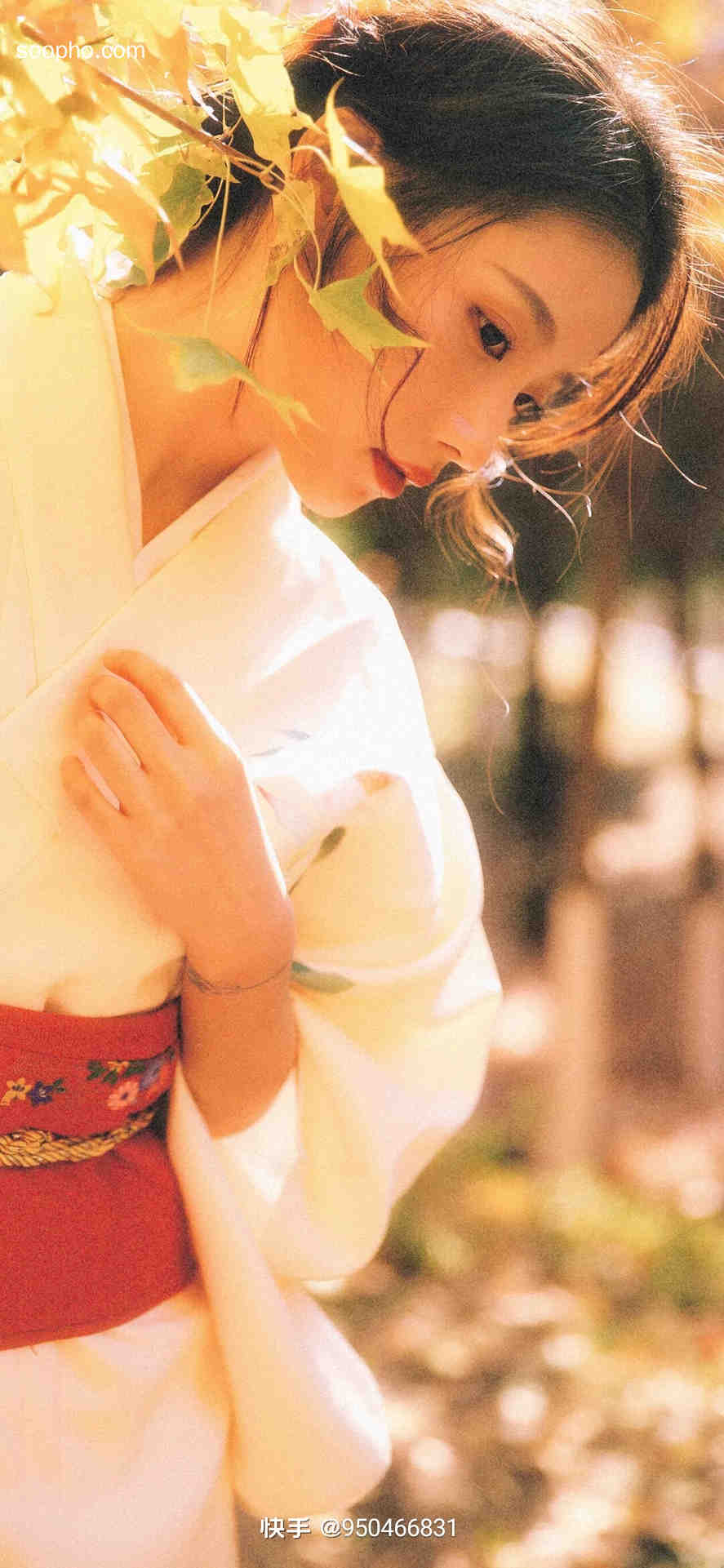 Beautiful Photo