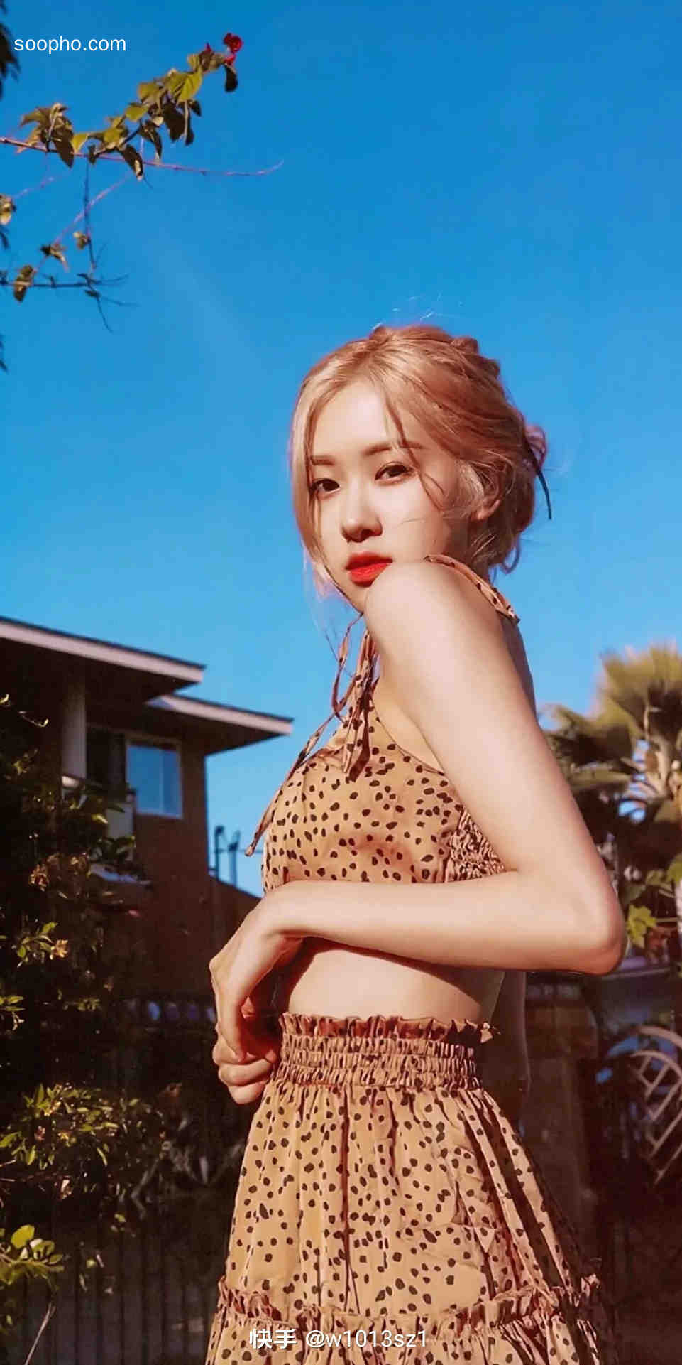 Beautiful Photo