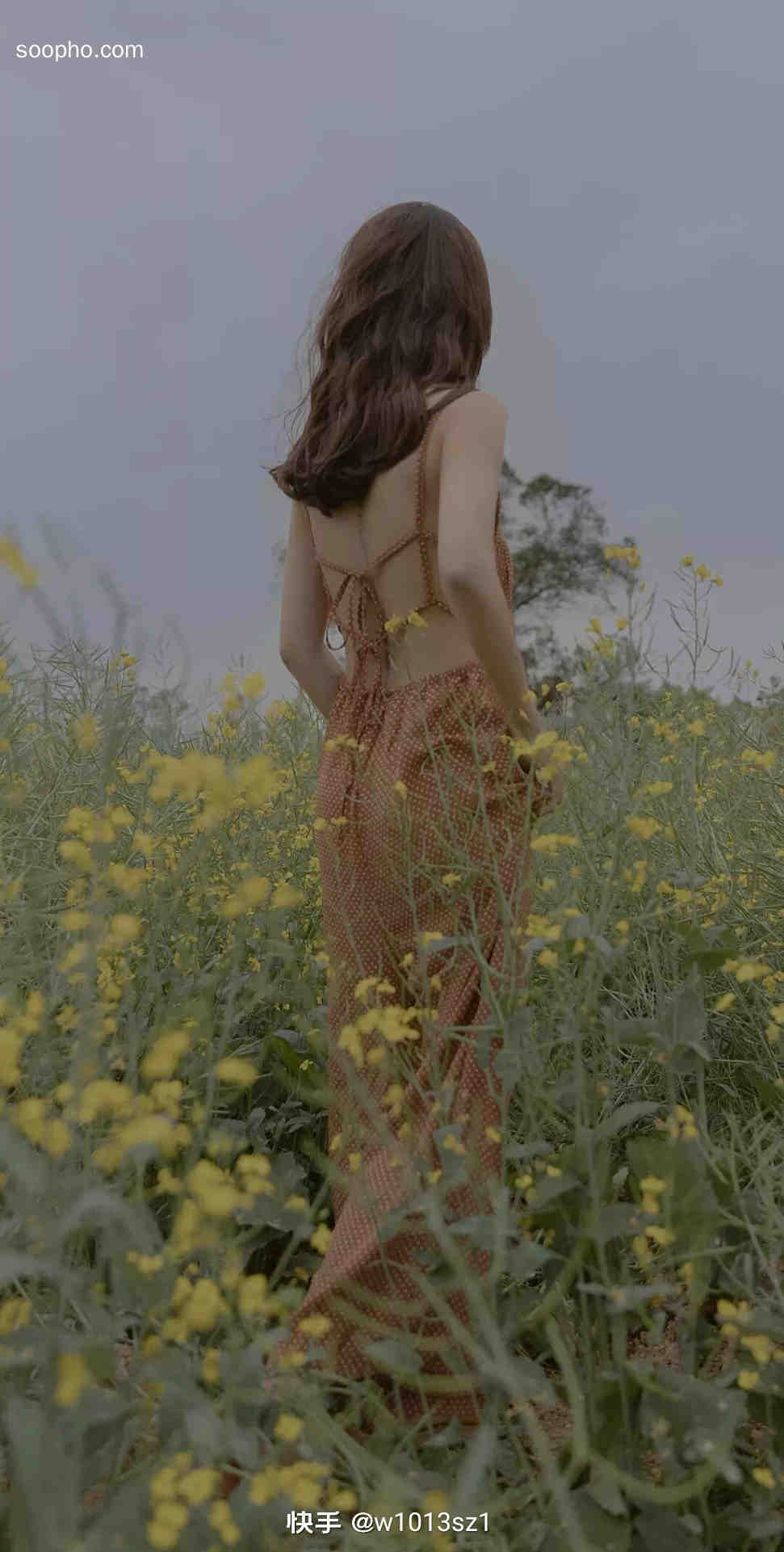 Beautiful Photo