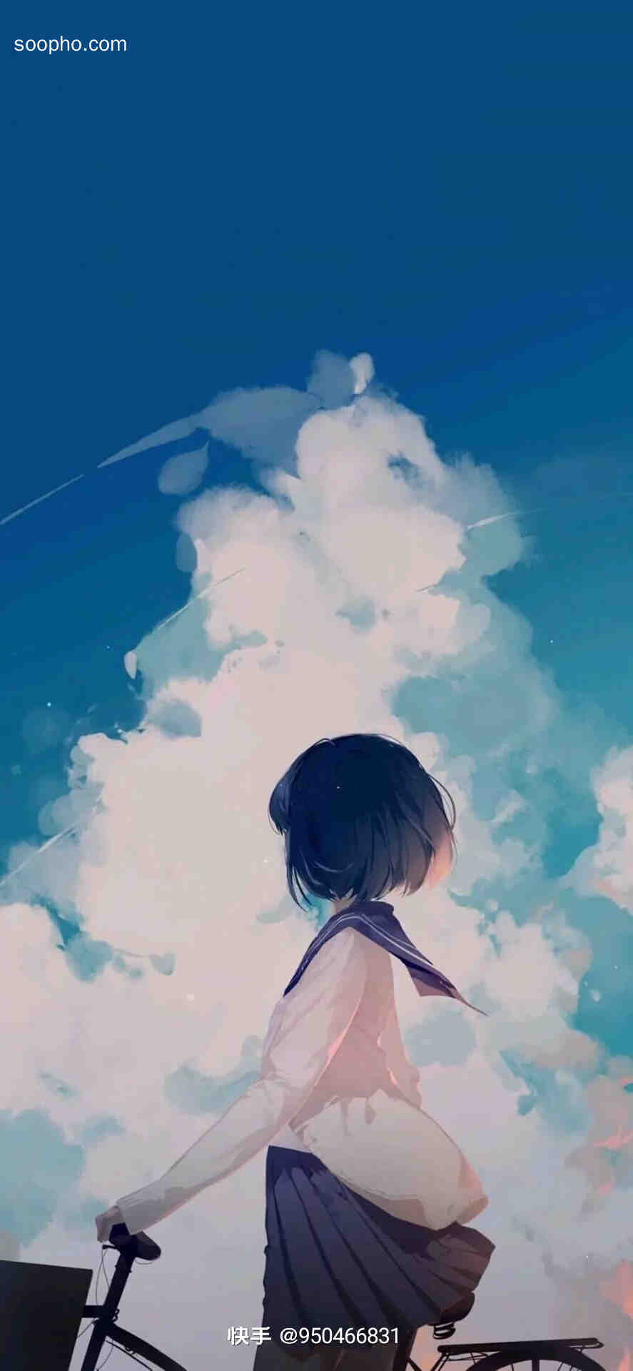 Beautiful Photo