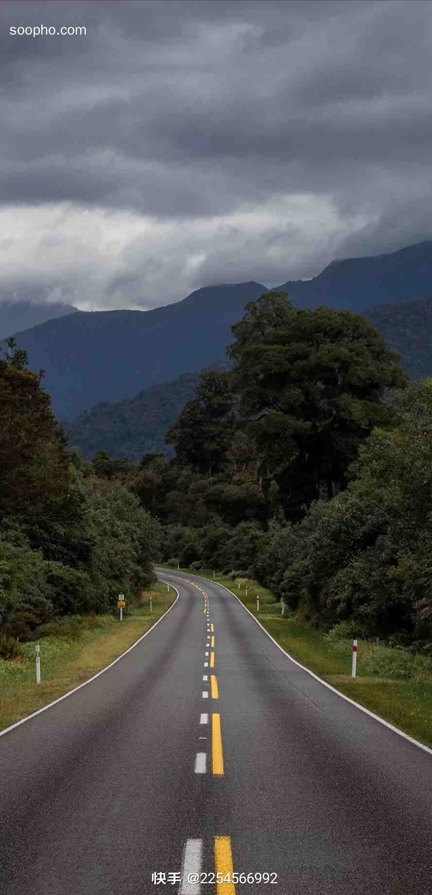 綠色風景，一條筆直的公路，賞心悅目