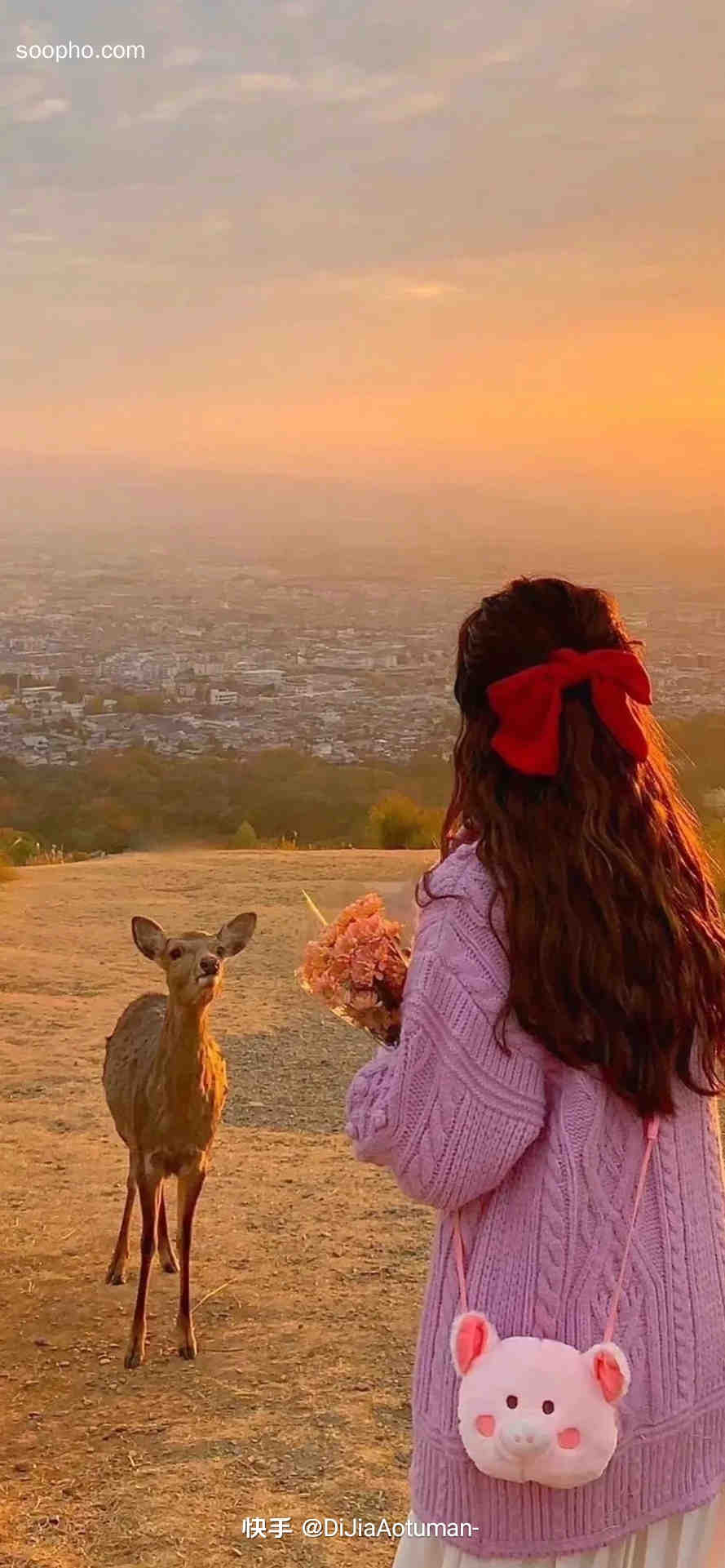 Beautiful Photo