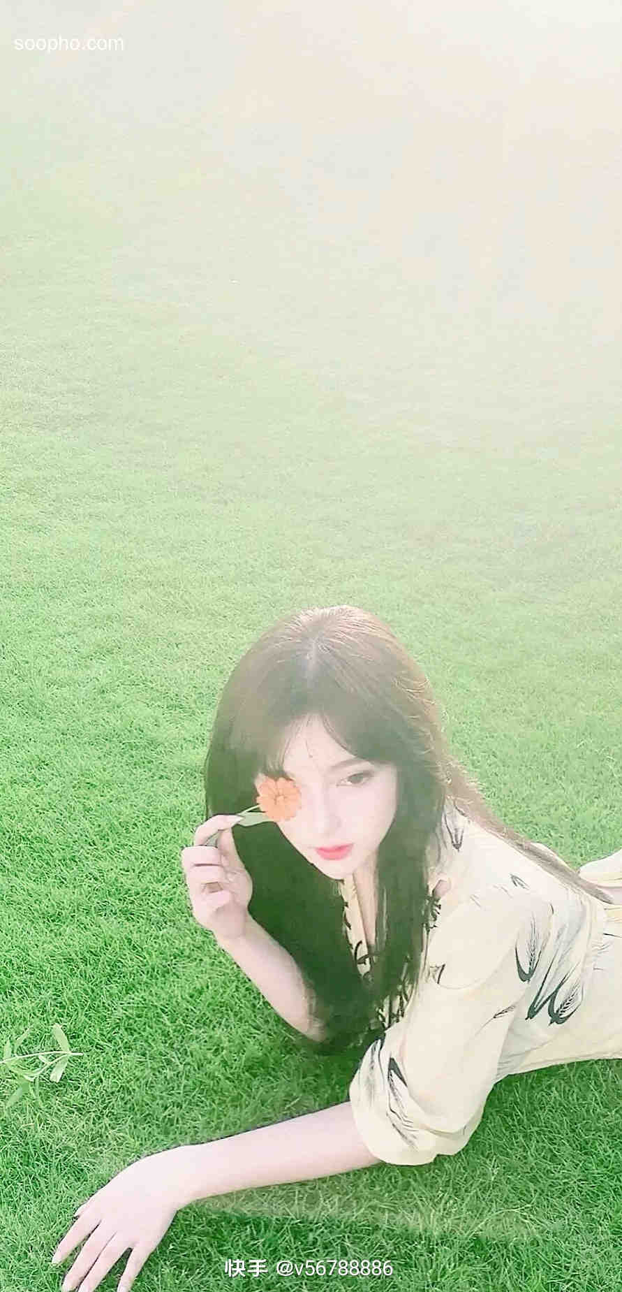 Beautiful Photo